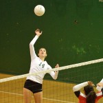 Voice Image