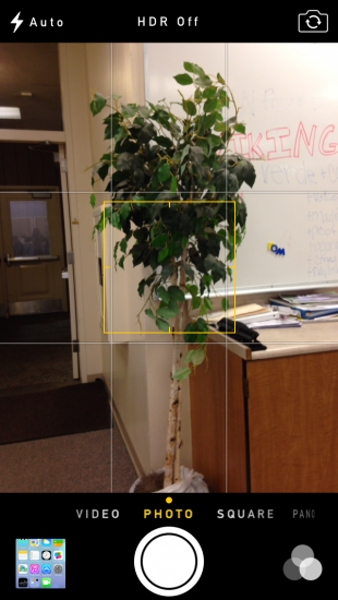 An iPhone focuses on a tree  in the English Computer Lab at Paly through iOS 7's new camera app. Photo by Liana Pickrell.
