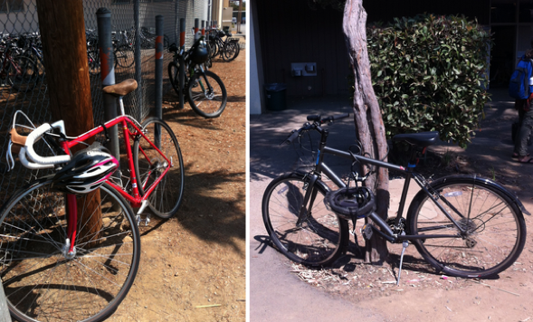 Students park their bikes to poles, fences, trees - to any spot they can find on campus. Photos by Lizzie Chun.