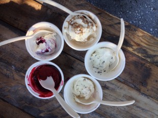 Different flavors of ice cream bought from Tin Pot Creamery. (Clockwise from top left) Blackberry Lime Sorbet, Lavender with Blueberry Swirl, Sweet Cream with Honey Balsamic Swirl and Earl Grey Tea, Mint Chocolate Chip, and Four Barrel Coffee with Cocoa Nib Toffee. Photo by Julia Asin.
