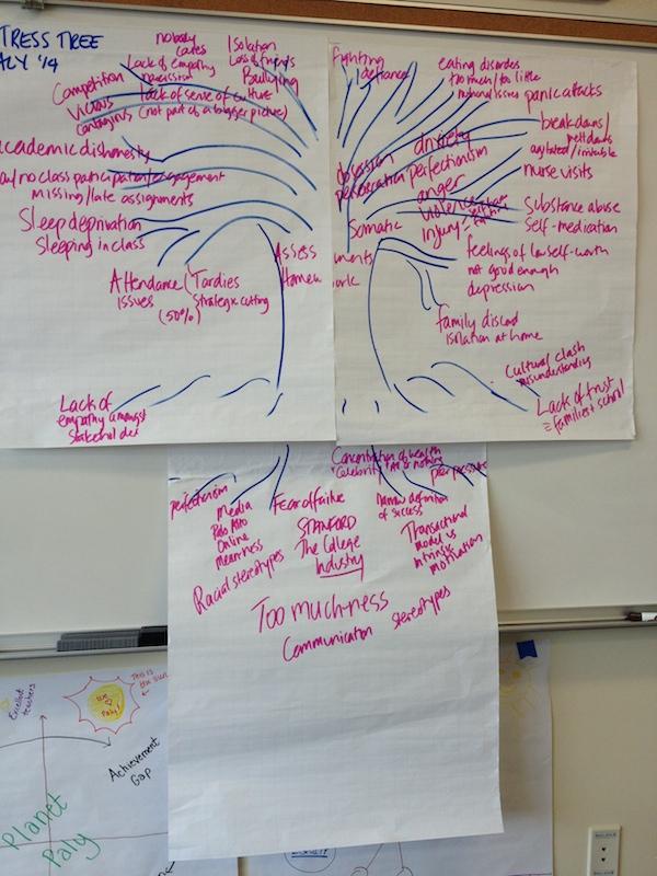The Western Association of Schools and Colleges team students used visual graphics like this “Stress Tree” to break down the problems students face at Paly. Photo by Maya McNealis.