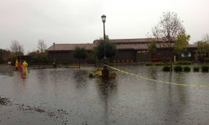 Parent starts El Niño evacuation program