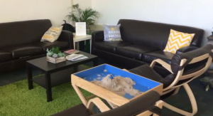 Pertussis exposure threatens student health before finals