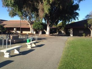 New clubs to debut at Club Day