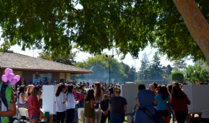 Club Day offers spirited fun, wide variety of options