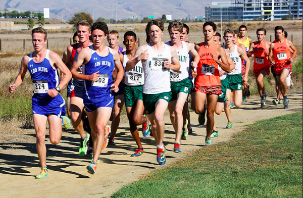 Cross country impresses at States