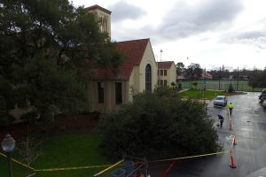 Fallen tree disrupts morning traffic