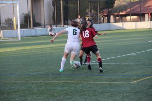 Undefeated girls' soccer heads into CCS after shutout win against Fremont