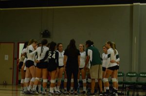 Volleyball to add new coach, new team in coming season