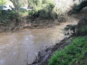 Palo Alto cautiously celebrates end of drought