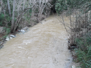 APES teachers discuss California's drought