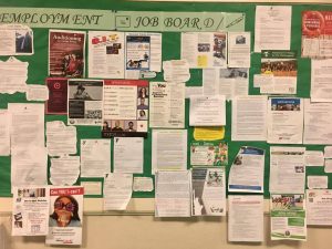 Summer opportunities for students