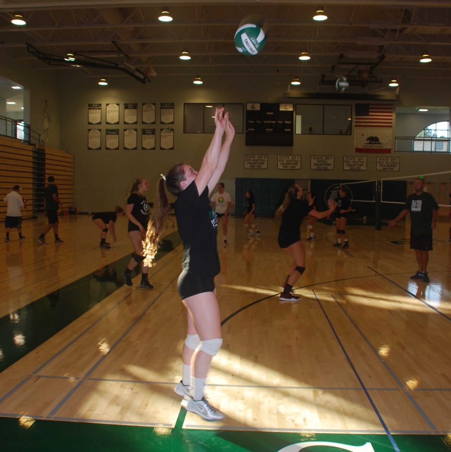 Volleyball opener against Gunn to kick off sports in Peery Family Center