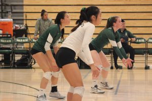 Volleyball to face Homestead in first home league game