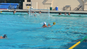 Boys' water polo encounters tough loss against Los Gatos