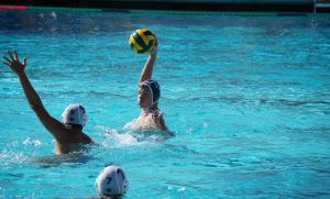 Recap: Boys' water polo fails to clinch CCS playoff berth