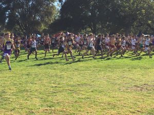 Recap: Cross country ends season with up and down performance at CCS