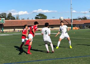 Boys' soccer concludes season with loss to Bellarmine in CCS semifinal