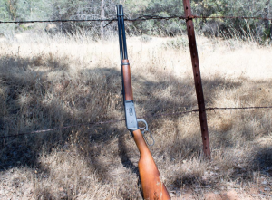 In light of the Parkland shooting