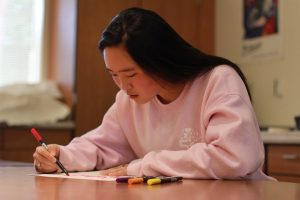 Iris Yuan: Instagram star[tist]