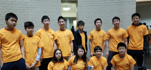 Viking math team places in national competition