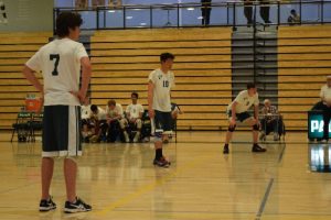 Boys' volleyball trounced by Gunn