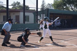 Girls' softball falls to Los Altos on senior night