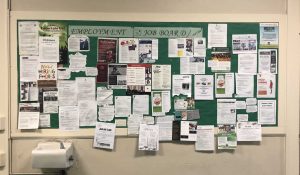 Tips on landing a summer job