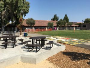 Quadside Lands newest in Quad-themed music festivals