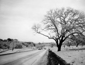 It’s snow big deal: Flurries bring smiles, evoke memories