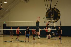 Season Preview: Boys' volleyball looks to reach new heights
