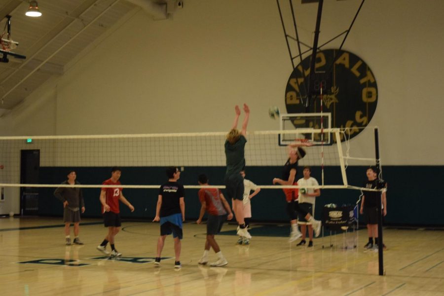 Season Preview: Boys volleyball looks to reach new heights