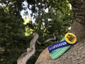 Peninsula Hike for Hope inspired by elementary school teacher's struggle