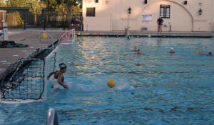 Girls' Water Polo hopes to place top 3 in league