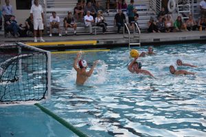 Boys' Varsity water polo crushes Homestead in first conference game of season