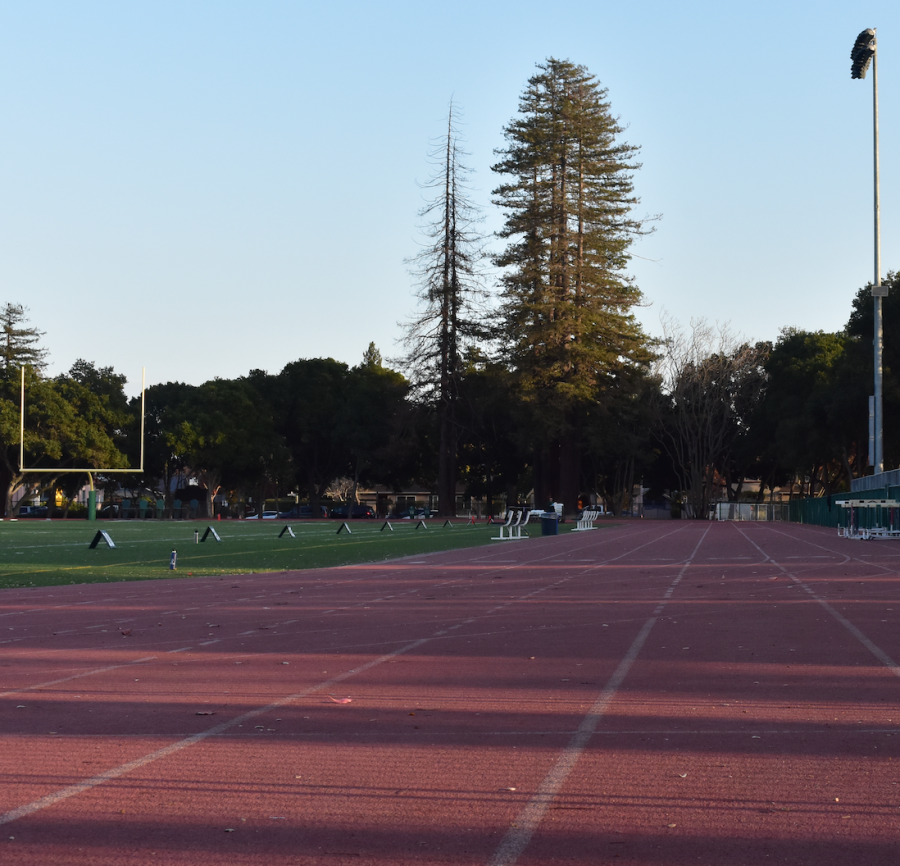 Faced+with+overcrowding%2C+Paly+athletics+looks+to+Greenes+facilities