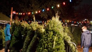 Sports Boosters tree sale in full swing