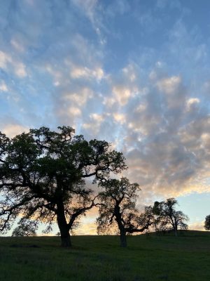 A guide to combating those quarantine blues