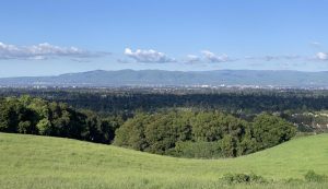 Keeping fit in the era of Coronavirus: a guide to the best local exercise spots