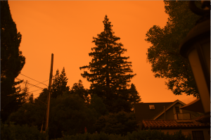 Column: Vote for the planet