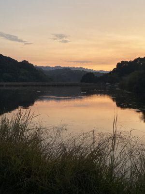 Opinion: Foothills Park must restrict the number of visitors