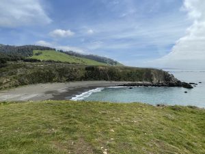 Students return to traveling despite pandemic