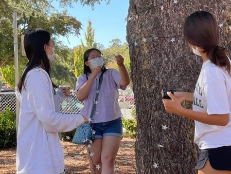 In preparation for the Homecoming dance, Associated Student Body President and junior Johannah Seah hangs lights around a tree on campus.