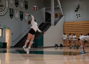 Girls’ volleyball dominates Homestead