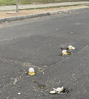 Letter to the Editors: "Egg disaster" response
