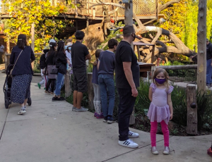 Junior Museum and Zoo reopening sparks excitement