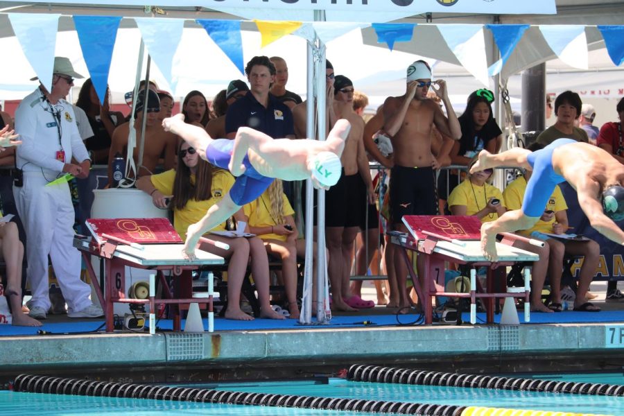 Palo+Alto+High+School+junior+Ethan+Harrington+dives+into+the+pool+at+the+CIF+State+Swimming+and+Diving+Championships+on+May+14.+He+would+win+both+of+his+events+in+the+50+and+100+yard+freestyle.+%E2%80%9CThe+time+shows+me+how+I+compare+to+people+now+like+Caleb+Dressel+or+the+other+really+big+Olympians%2C%E2%80%9D+Harrington+said.+%E2%80%9CIts+nice+to+see+how+close+I+am+to+them+when+they+were+16.+I+think+they+would+still+be+faster+than+me%2C+but+I%E2%80%99m+close.%E2%80%9D