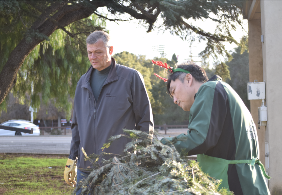Boys Volleyball Head Coach Ed Yeh cuts a tree for Palo Alto High Schools annual Holiday Tree Lot this afternoon in the Paly Parking lot. The event will continue throughout this weekend and proceeds go directly to supporting the Paly athletic department. Tree buyers have the opportunity to donate ten percent of their purchase to a specific Paly sports team. According to Yeh, the support for the athletic department brings together a supportive community.” I think its nice for it [the tree lot] to be on campus,” Yeh said. “Money goes back in the program and then the volunteers are the parents and the kids, so itgives everybody a chance to be involved.”
