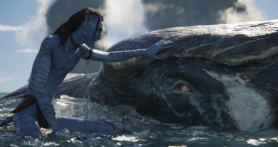 Loak (Britain Dalton) connects with a Tulkun, an intelligent whale-like creature. (Photo: Disney)