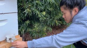 Two students each win $25,000 in science competition